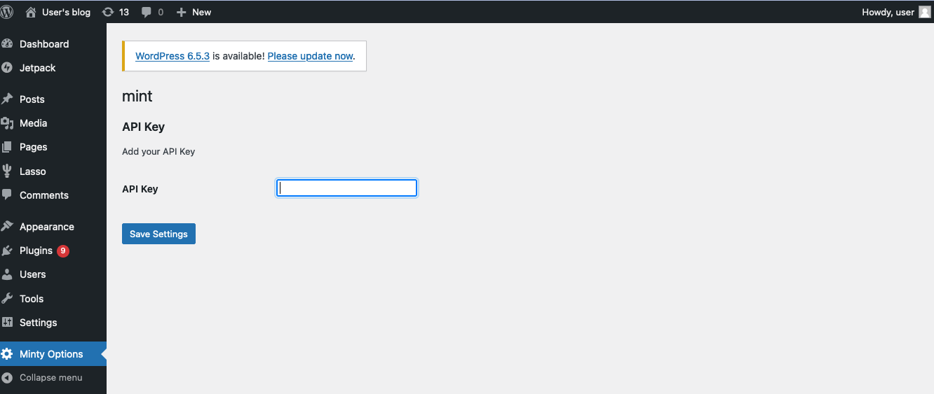 Install and Activate Minty